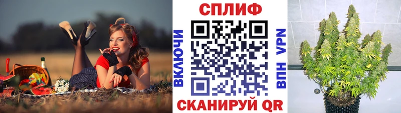 купить закладку  Вуктыл  Конопля Amnesia 
